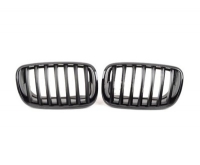 Решітка радіатора (комплект) BMW X5 E70 (БМВ Х5 Е70) 2006-2010 51712150247