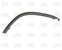 Рант крила передній правий (пластмасса)