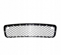 Решітка в бампері BMW X5 E70 (БМВ Х5 Е70) 2006-2010 51117163956