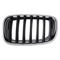 Решітка ліва BMW X5 E70 (БМВ Х5 Е70) 2006-2010 51137157687
