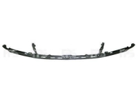 Планка під решітку радіатора 1998-2005 (ОЕ 53903-60070)